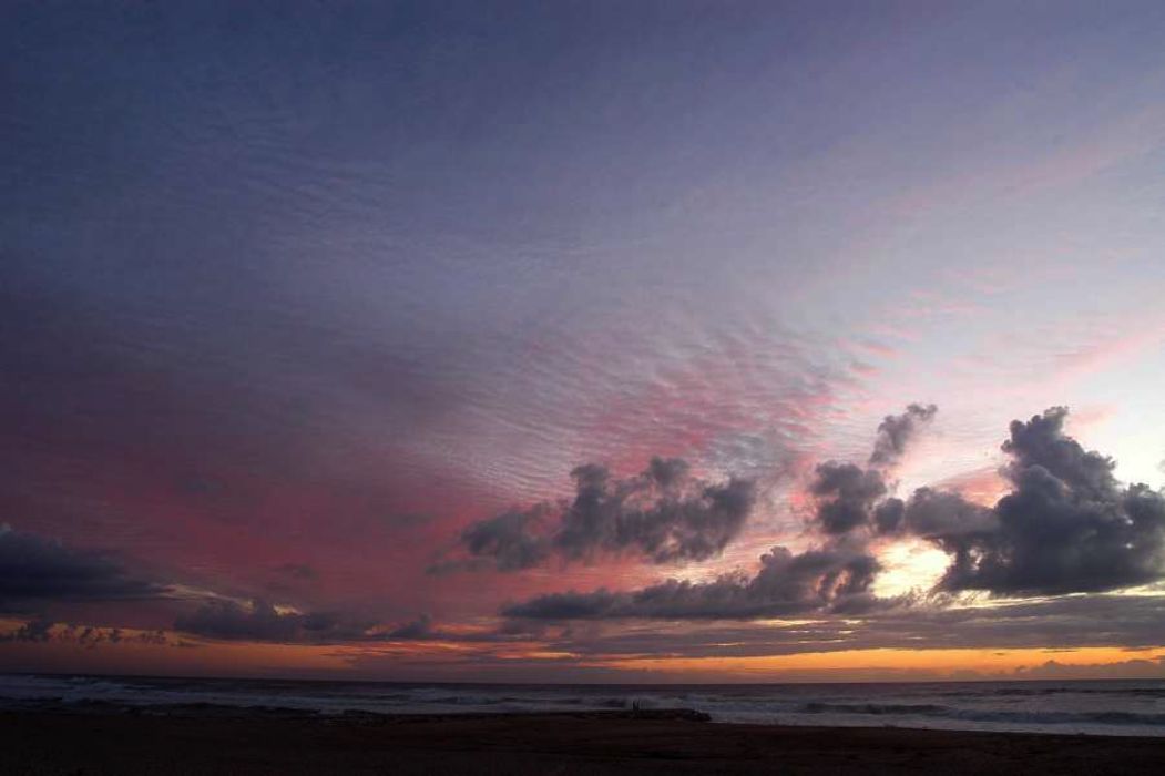 Nom de l'image : D1159221-01_(c)Norbert-JUNG — Description :